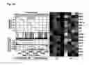 Fig. 10 - Prophylactic and nutraceutical therapy