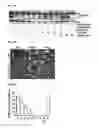 Fig. 15 - Prophylactic and nutraceutical therapy