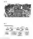 Fig. 18 - Prophylactic and nutraceutical therapy