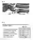 Fig. 19 - Prophylactic and nutraceutical therapy