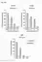 Fig. 22 - Prophylactic and nutraceutical therapy