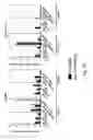 Fig. 16 - Compositions and methods for promoting the mineralization of biological tissue