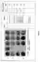 Fig. 03 - STAPHTAME ACTIVITY ON BIOFILMS