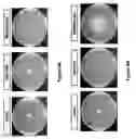 Fig. 12 - STAPHTAME ACTIVITY ON BIOFILMS
