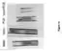 Fig. 16 - STAPHTAME ACTIVITY ON BIOFILMS