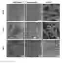 Fig. 01 - METHOD OF PREVENTING OR REDUCING BIOFILM FORMATION
