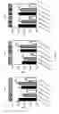 Fig. 02 - METHOD OF PREVENTING OR REDUCING BIOFILM FORMATION