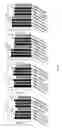 Fig. 10 - METHOD OF PREVENTING OR REDUCING BIOFILM FORMATION