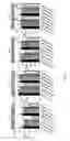 Fig. 12 - METHOD OF PREVENTING OR REDUCING BIOFILM FORMATION