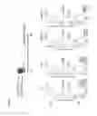 Fig. 10 - Plasmodium with histamine releasing factor (HRF) deficiency for use as a vaccine