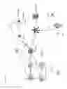 Fig. 11 - Plasmodium with histamine releasing factor (HRF) deficiency for use as a vaccine