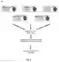 Fig. 15 - IMMUNOGENIC COMPOSITIONS COMPRISING SBI PROTEIN AND USES THEREOF