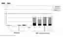 Fig. 08 - Chlamydia antigens