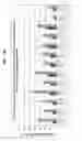 Fig. 12 - Chlamydia antigens