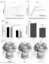 Fig. 03 - Development of a preventive influenza D virus vaccine