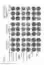 Fig. 03 - Hemagglutinin-binding peptide