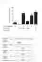 Fig. 02 - Method for producing artificial recombinant rotavirus