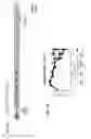 Fig. 10 - Genetically stable live attenuated respiratory syncytial virus vaccine and its production
