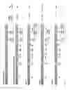 Fig. 11 - Genetically stable live attenuated respiratory syncytial virus vaccine and its production