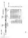 Fig. 12 - Genetically stable live attenuated respiratory syncytial virus vaccine and its production