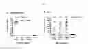 Fig. 06 - Adjuvant compositions