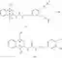 Fig. 19 - CONJUGATES OF HYALURONIC ACID AND ANTICANCER COMPOUNDS