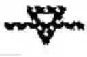 Fig. 06 - Pyrrolobenzodiazepine conjugates