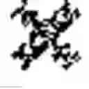 Fig. 07 - Pyrrolobenzodiazepine conjugates