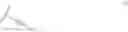 Fig. 12 - Pyrrolobenzodiazepine conjugates