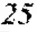 Fig. 04 - Covalent polymer-antigen conjugated particles