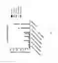 Fig. 18 - Covalent polymer-antigen conjugated particles