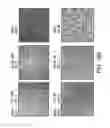 Fig. 27 - Methods of treating cells containing fusion genes by genomic targeting