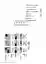 Fig. 40 - Methods of treating cells containing fusion genes by genomic targeting