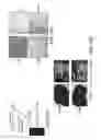 Fig. 48 - Methods of treating cells containing fusion genes by genomic targeting