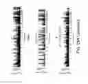 Fig. 54 - Methods of treating cells containing fusion genes by genomic targeting