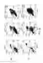 Fig. 63 - Methods of treating cells containing fusion genes by genomic targeting