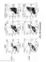Fig. 65 - Methods of treating cells containing fusion genes by genomic targeting