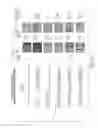 Fig. 14 - Isolation of novel AAV's and uses thereof