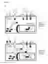 Fig. 02 - B-CELL-MIMETIC CELLS