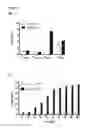 Fig. 03 - B-CELL-MIMETIC CELLS
