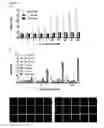 Fig. 08 - B-CELL-MIMETIC CELLS