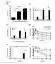 Fig. 10 - B-CELL-MIMETIC CELLS