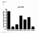 Fig. 11 - B-CELL-MIMETIC CELLS