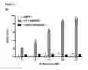 Fig. 12 - B-CELL-MIMETIC CELLS