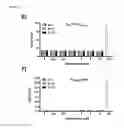 Fig. 14 - B-CELL-MIMETIC CELLS