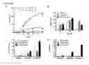 Fig. 17 - B-CELL-MIMETIC CELLS