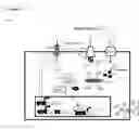 Fig. 19 - B-CELL-MIMETIC CELLS