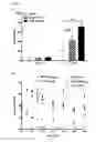 Fig. 22 - B-CELL-MIMETIC CELLS
