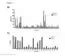 Fig. 25 - B-CELL-MIMETIC CELLS
