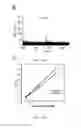 Fig. 07 - Targeting peptides and methods of use